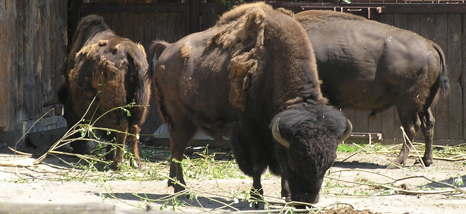 ddos在线压力测试平台