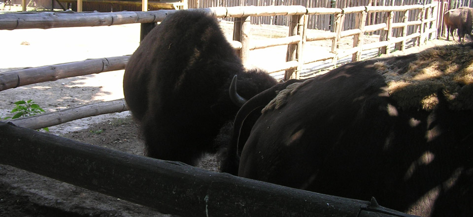 在线DDOS压力测试网页端